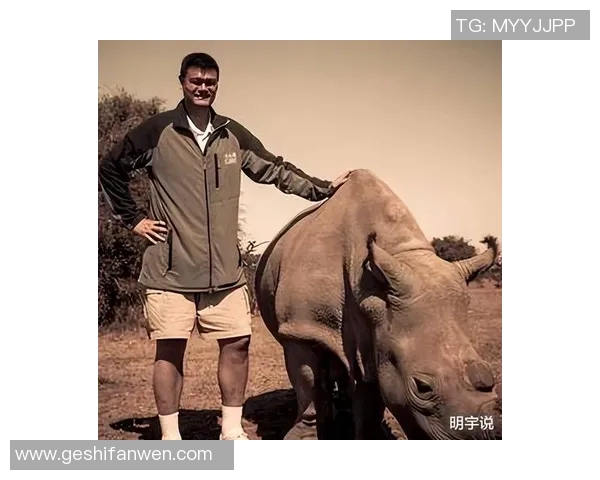 姚明突破上篮展现巨人风范引领篮球新潮流